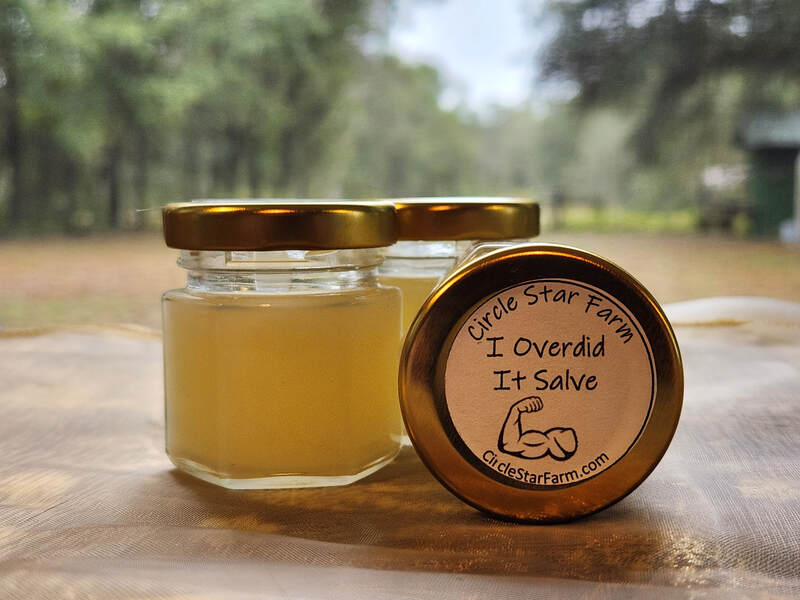 I Overdid It Salve